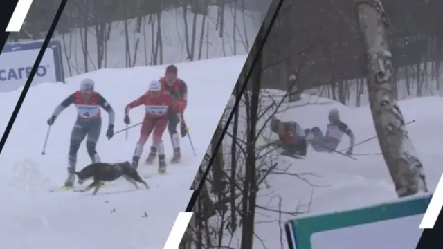 Горячая новость | На чемпионате России двух лыжниц сбила с ног собака