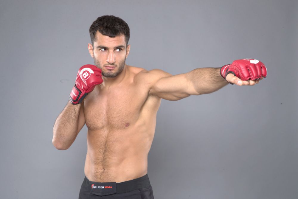 Gegard Mousasi MMA